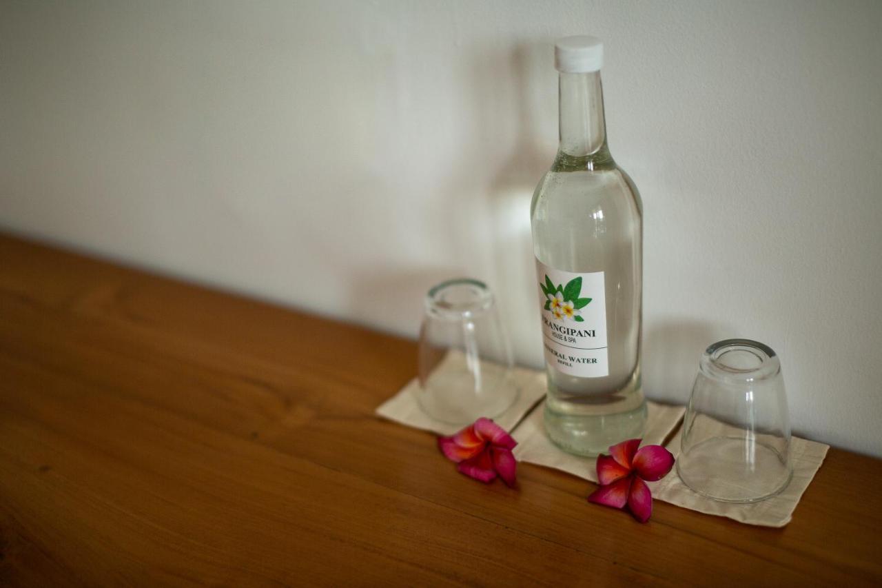 Frangipani House And Spa By Ecommerceloka تْشانغو المظهر الخارجي الصورة